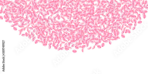 Sakura petals falling down. Romantic pink bright m