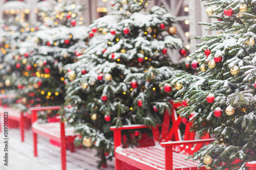Winter image of festive decorated christmas street. Decorated Christmas fir trees. Christmas tree branches with balls and festive lights with sparkles. Red benches. New Year decoration