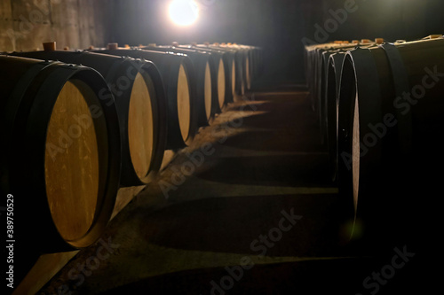 Long rows of wine casks and bottles in cellar photo