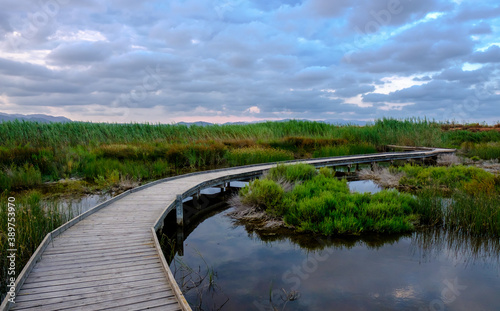 Marjal del Moro wetland nature reserve footbridges on the water in Valencia Spain albufera