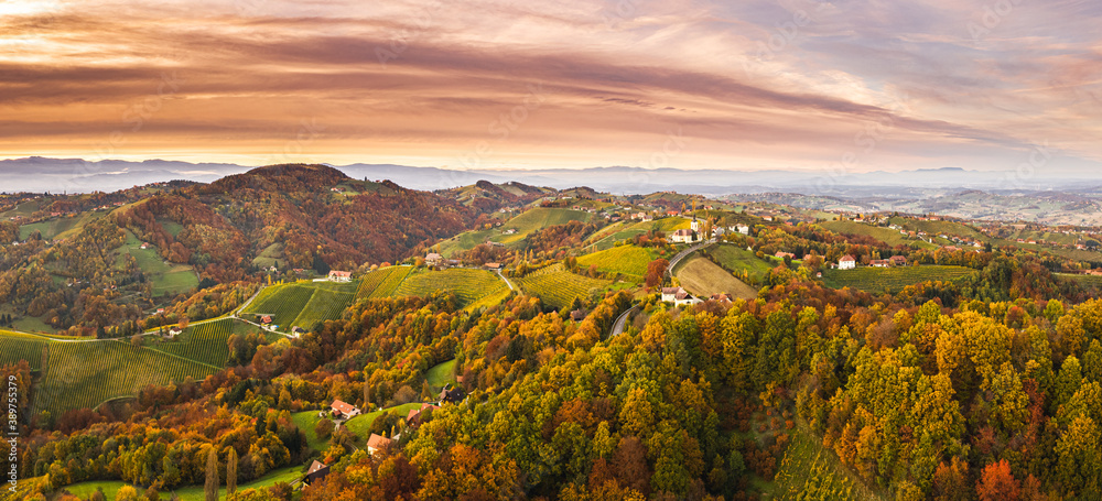 Aerial panorama of Vineyard on an Austrian countryside with a church in the background