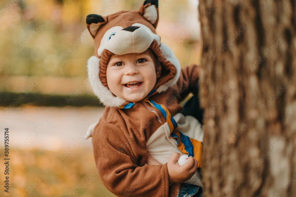 Cute baby boy dressed in fox costume in autumn park