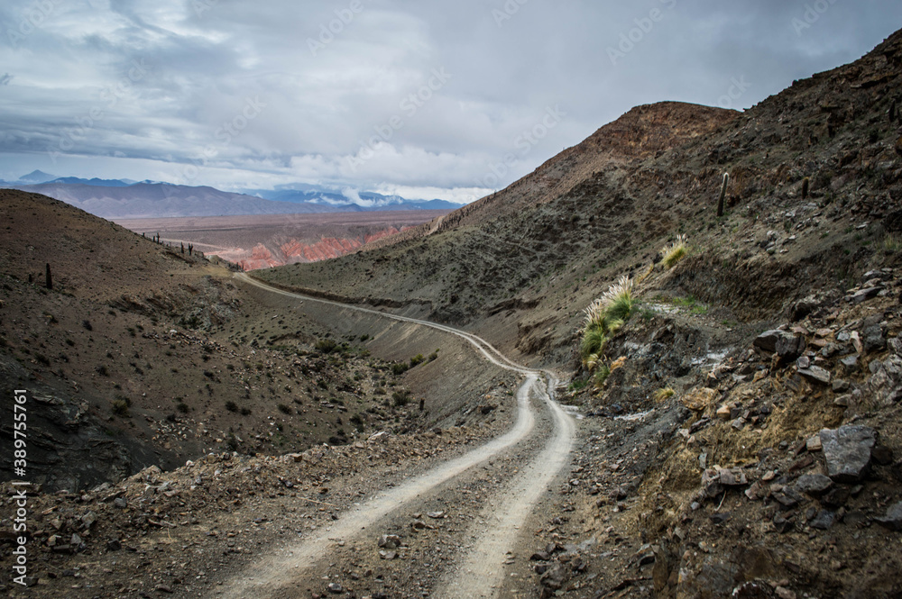 Camino de montañas cordillera Argentina