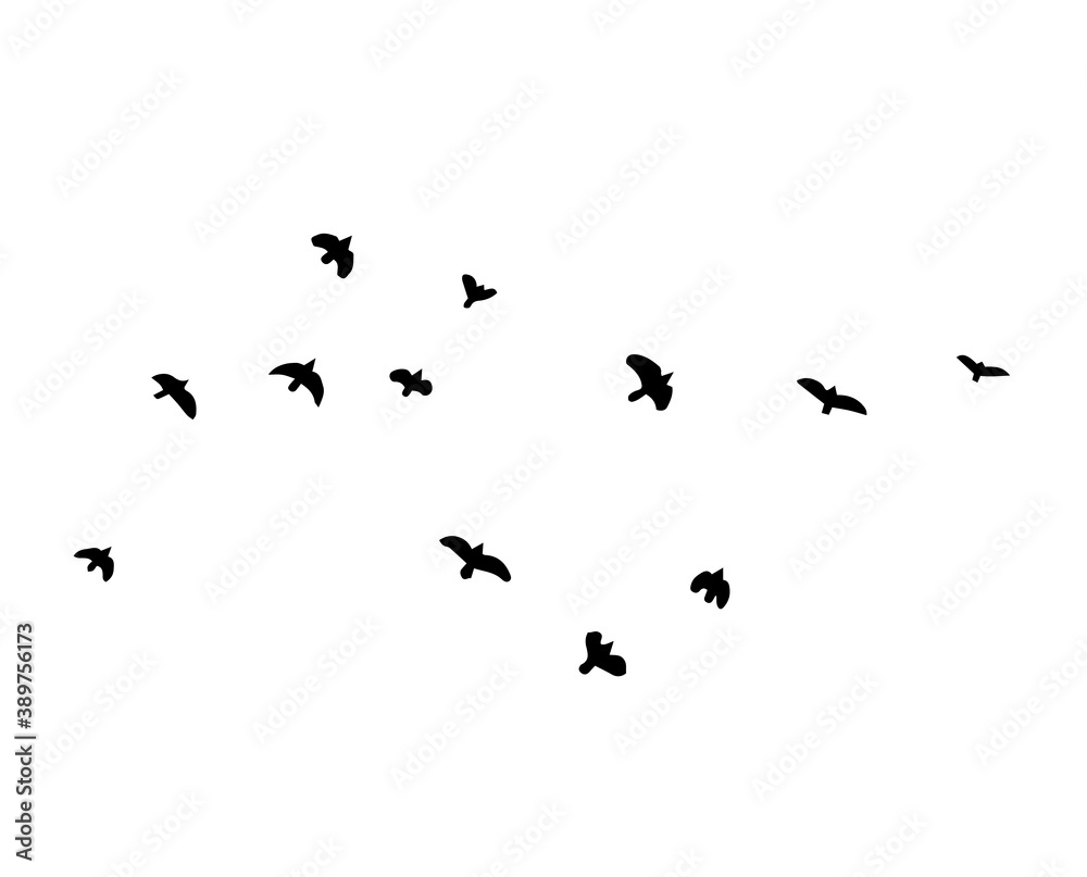 A flock of flying birds. Vector illustration