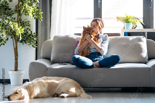 Canvas Print Attractive young woman kissing her little cute dog while sitting in couch with her dogs and cat in living room at home