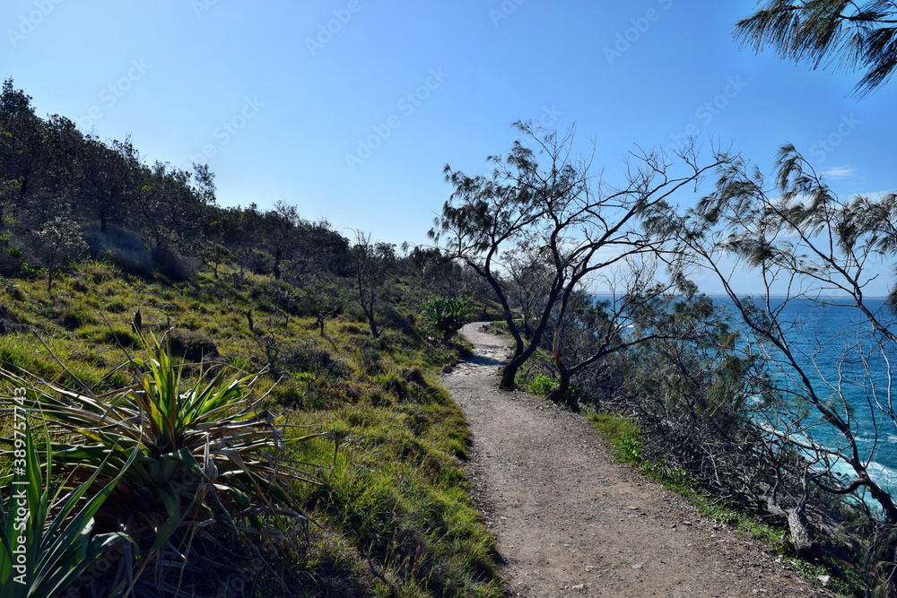 Forest way trail with an amazing ocean scenery at Noosa National Park Forest way trail with an amazing ocean scenery at Noosa National Park