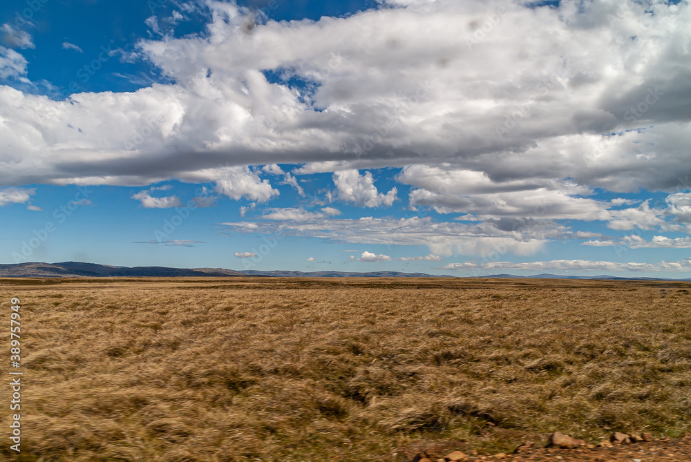 Falkland Islands, UK - December 15, 2008: Wide windswept flat bare landscape of dry land  under spectacular blue cloudscape. 