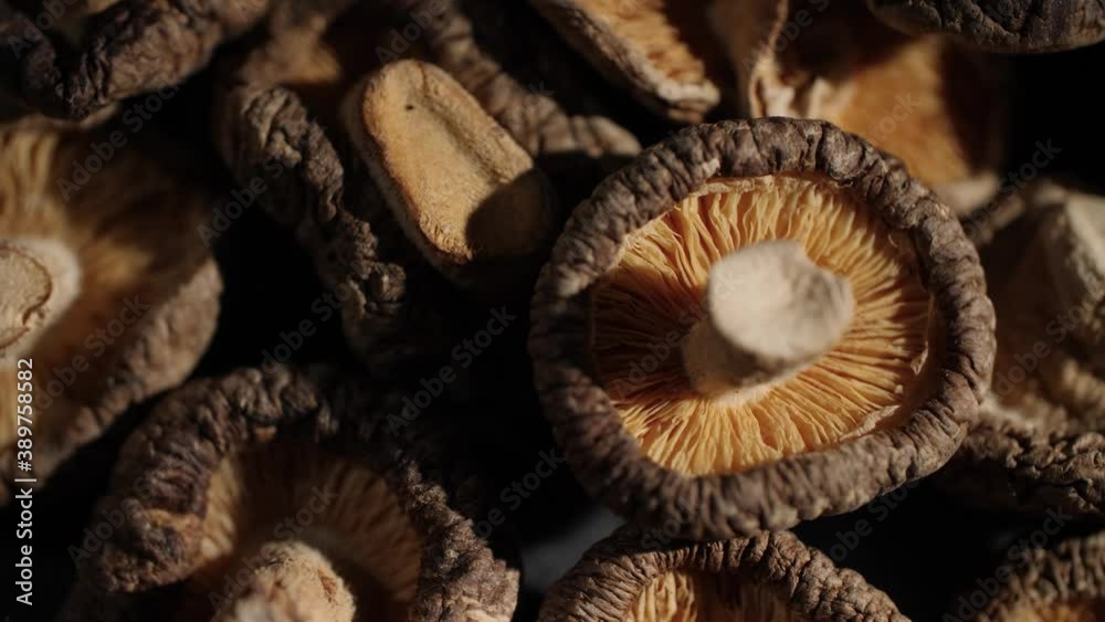 4K Close up of Shiitake mushrooms often used in Japanese and Chinese cooking. Rotating macro shot of the dried mushrooms that shows the beautiful and delicate texture of the Asian ingredient. 4K Close up of Shiitake mushrooms often used in Japanese and Chinese cooking. Rotating macro shot of the dried mushrooms that shows the beautiful and delicate texture of the Asian ingredient.