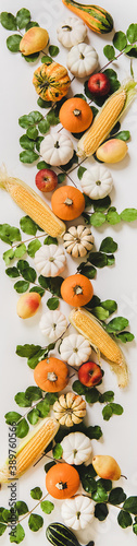 Fototapeta Naklejka Na Ścianę i Meble -  Autumn floral layout. Flat-lay of Fall pumpkins, seasonal apples, pears, corn and leaves over white background, top view, vertical composition. Halloween, Thanksgiving, Autumn table decoration concept