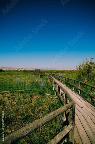 Puente entre el agua y la vegetación. © Izan