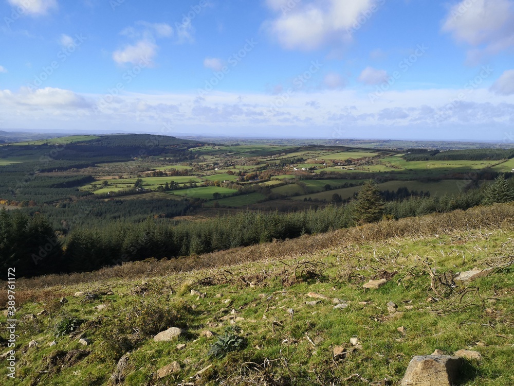 Fototapeta premium landscape in the mountains