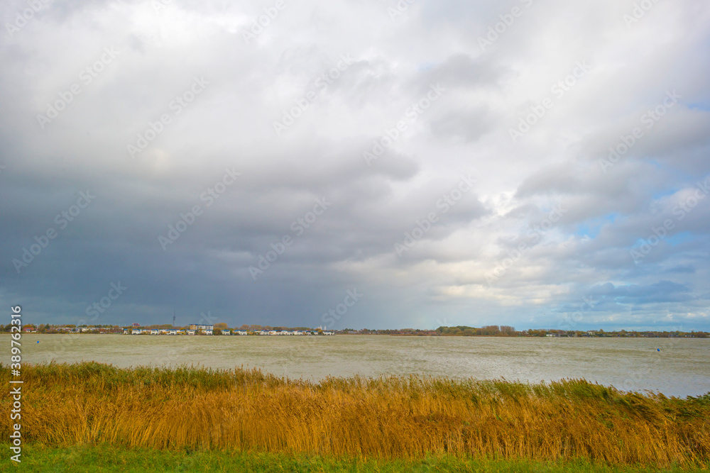 The edge of a lake in autumn colors under a blue cloudy rainy and stormy sky at fall, Almere, Flevoland, The Netherlands, November 2, 2020