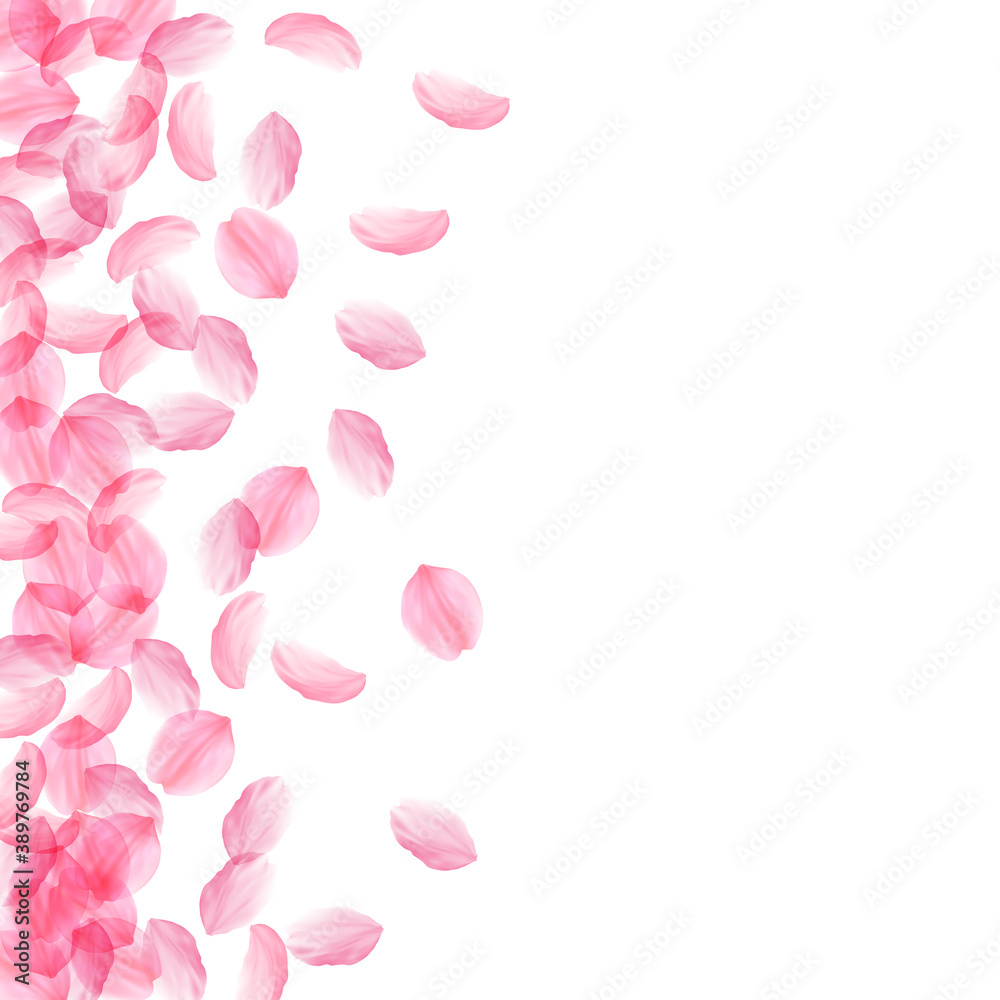 Sakura petals falling down. Romantic pink silky bi