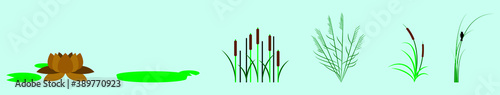 a set of cattails and swamp plants icon design template with various models. vector illustration isolated on blue background