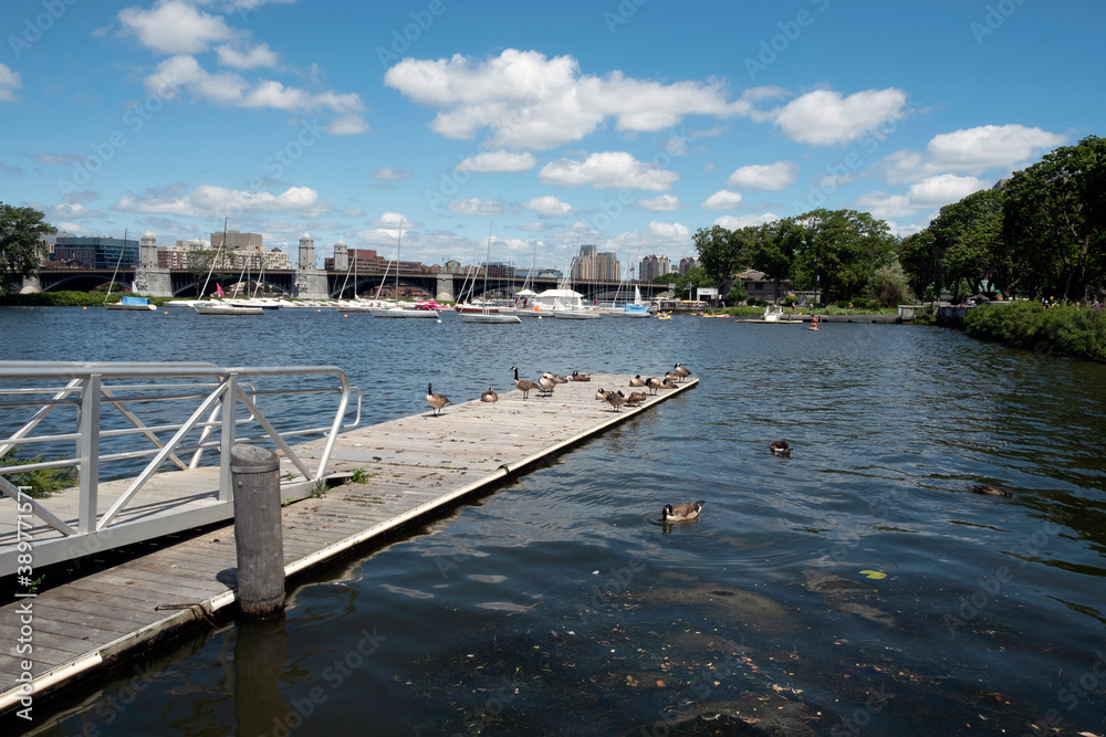 Fototapeta premium Charles River Pier, Boston ,MA, USA.