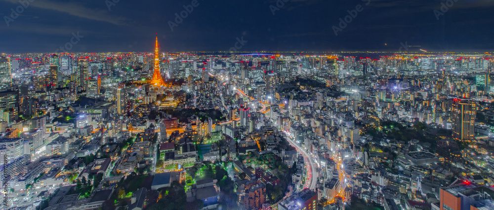 TOKYO city skyline , JAPAN