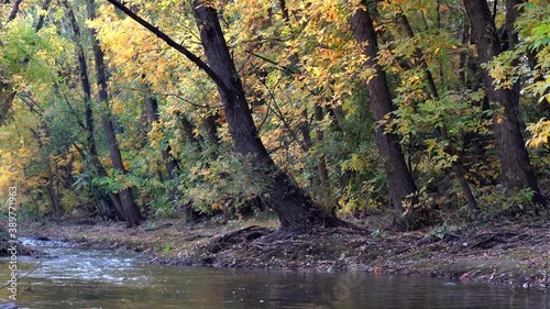 Fall colors along the Boulder Creek photo