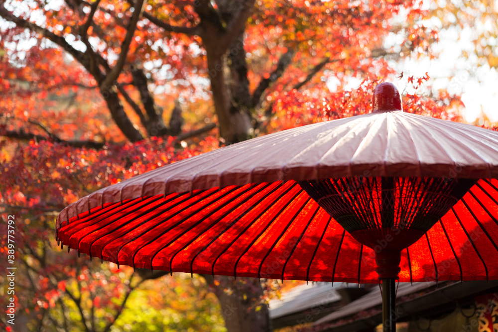 赤い傘と紅葉