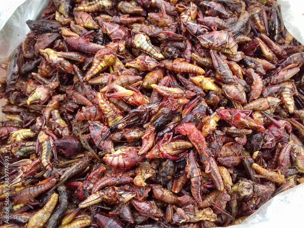 Chapulines is a superfood
