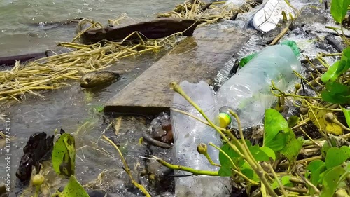 Shore of a lake polluted by plastic waste