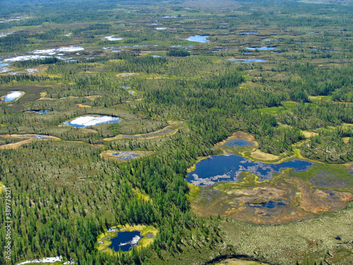 фотографія Siberian Forest-tundra landscape