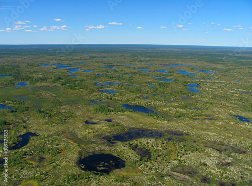 Obraz na płótnie Siberian Forest-tundra landscape