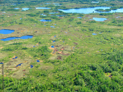 Fotografie Siberian Forest-tundra landscape