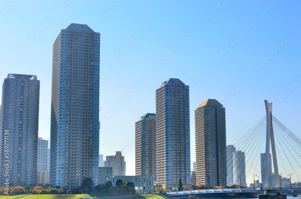 Obraz premium 佃島の高層ビル群と中央大橋