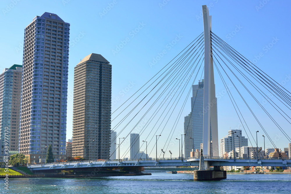 佃島の高層ビル群と中央大橋