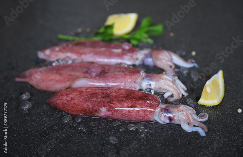 raw fresh squids on carble for cooking 