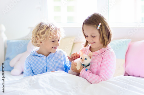 Kids play with baby cat. Child and kitten in bed.