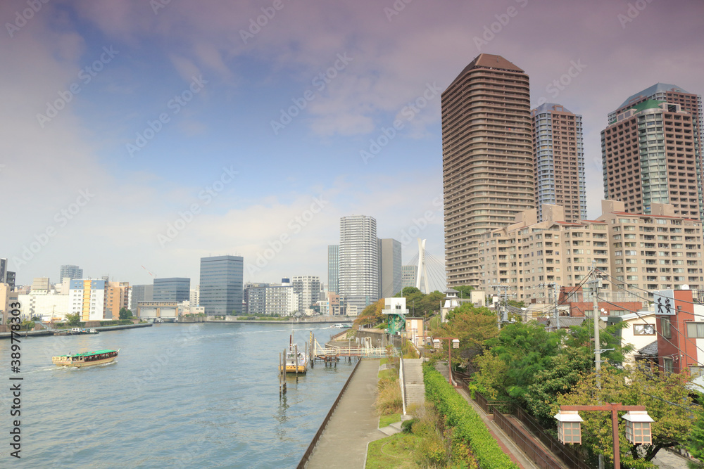 Obraz premium 佃島高層マンションと隅田川