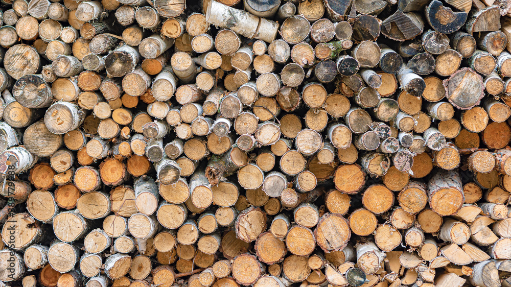 background of firewoods in a woodshed