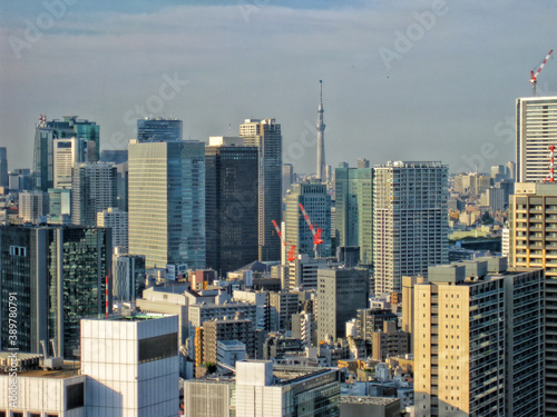 Photography 【東京】港区から眺めた都市景観