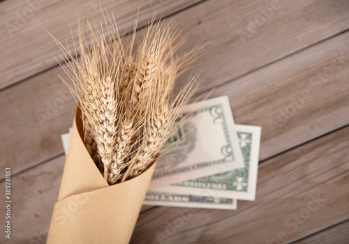 A bunch of kraft paper wrapped the harvested wheat ears and dollar bills