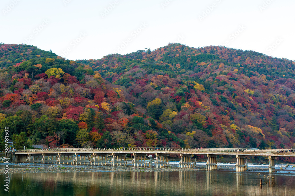 京都嵐山の秋