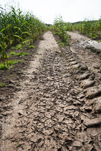 Cracked ground on a field.