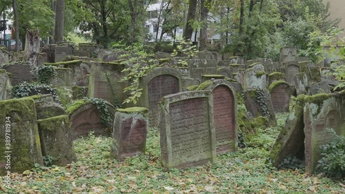 Old Jewish Cemetery with gravestones covered with leaves in Battonstrasse next to Judengasse in Frankfurt am Main Germany.  800 Years of Jewish History. 4k photo