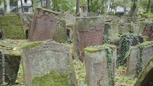 Old Jewish Cemetery with gravestones covered with leaves in Battonstrasse next to Judengasse in Frankfurt am Main Germany.  800 Years of Jewish History. 4k. Slow Motion. photo