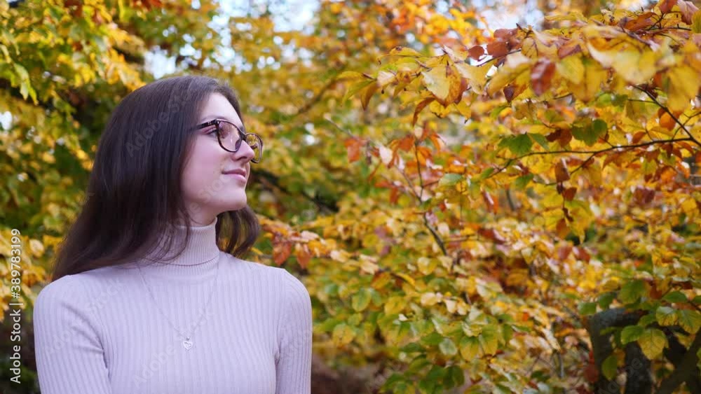 Profile of Happy Teenage Girl Touching Yellow Tree Leaves on Bright Autumn Day. Close Up Slow Motion Profile of Happy Teenage Girl Touching Yellow Tree Leaves on Bright Autumn Day. Close Up Slow Motion