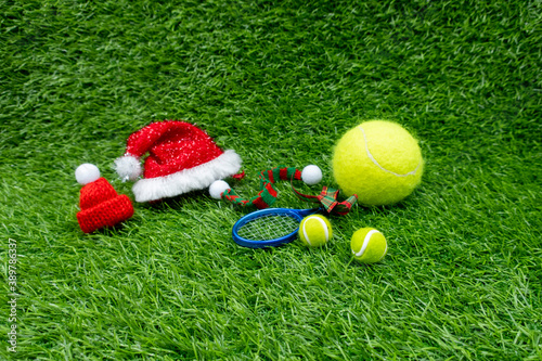 Tennis Christmas Holiday with Christmas hat on green grass