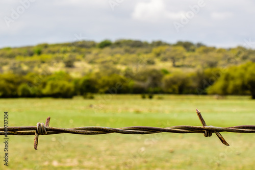 barbed wire fence in field