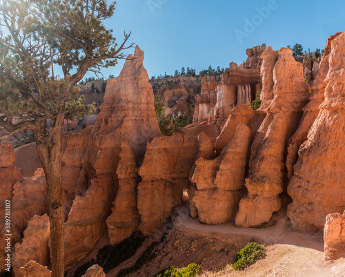 Tunnel Through Hoodoos on The Queens Garden Trail, Bryce Canyon National Park, Utah, USA