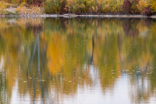Fall Color Reflection in The Waters of Billy Creek, Billy Creek State Wildlife Area, Colorado, USA