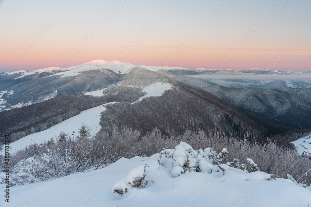Snowy winter in the Ukrainian Carpathian mountains with traveling tourists