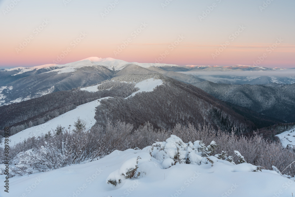 Snowy winter in the Ukrainian Carpathian mountains with traveling tourists Snowy winter in the Ukrainian Carpathian mountains with traveling tourists