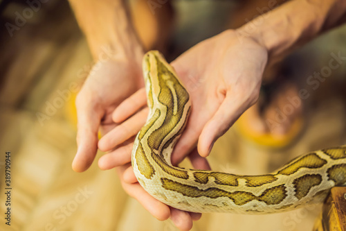 Smiling boy holding python in his hands