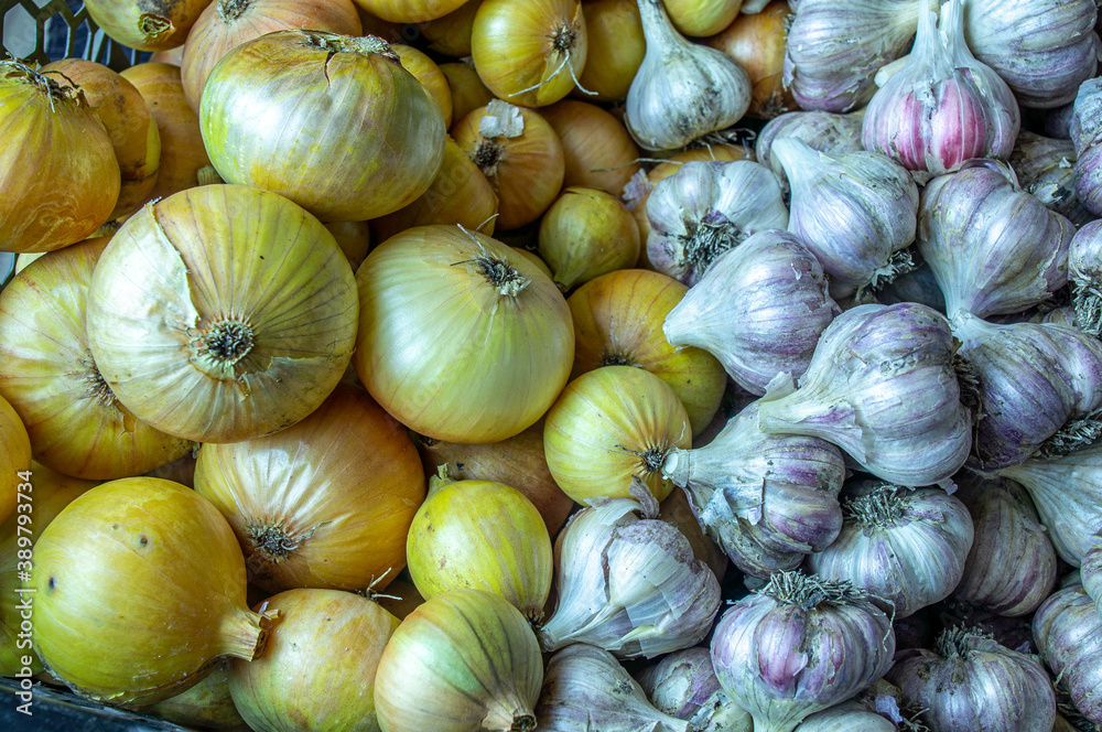 Garlic and onions in large quantities Garlic and onions in large quantities