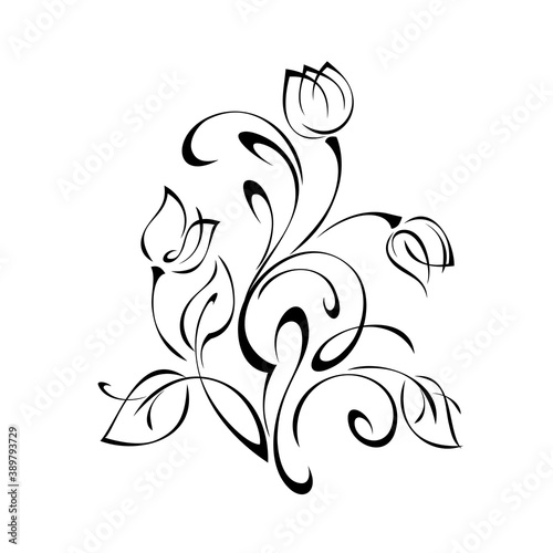 ornament 1357. decorative element with stylized flower buds, leaves and curls in black lines on a white background