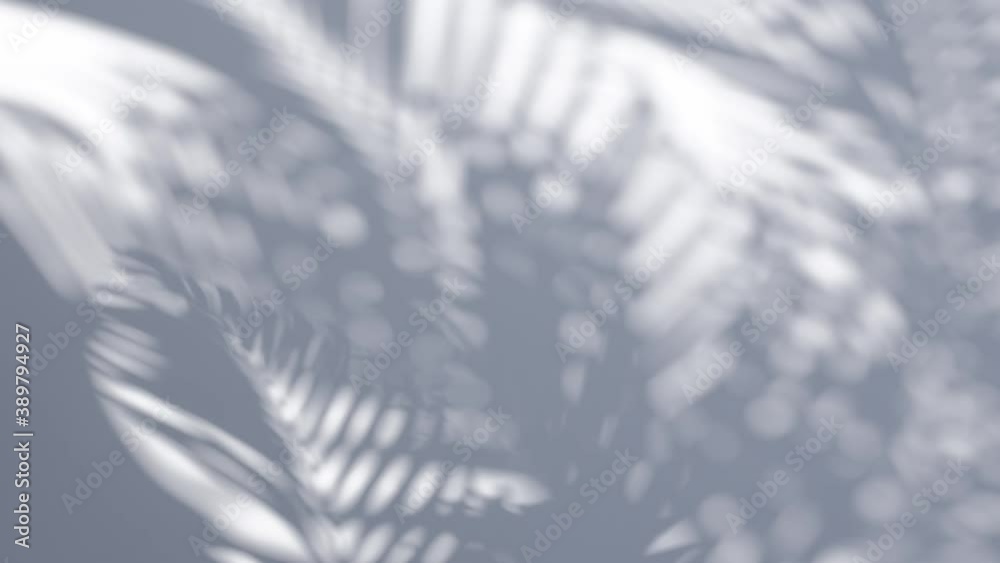 abstract background of shadow palm leaves in wind overlay on  white wall background.